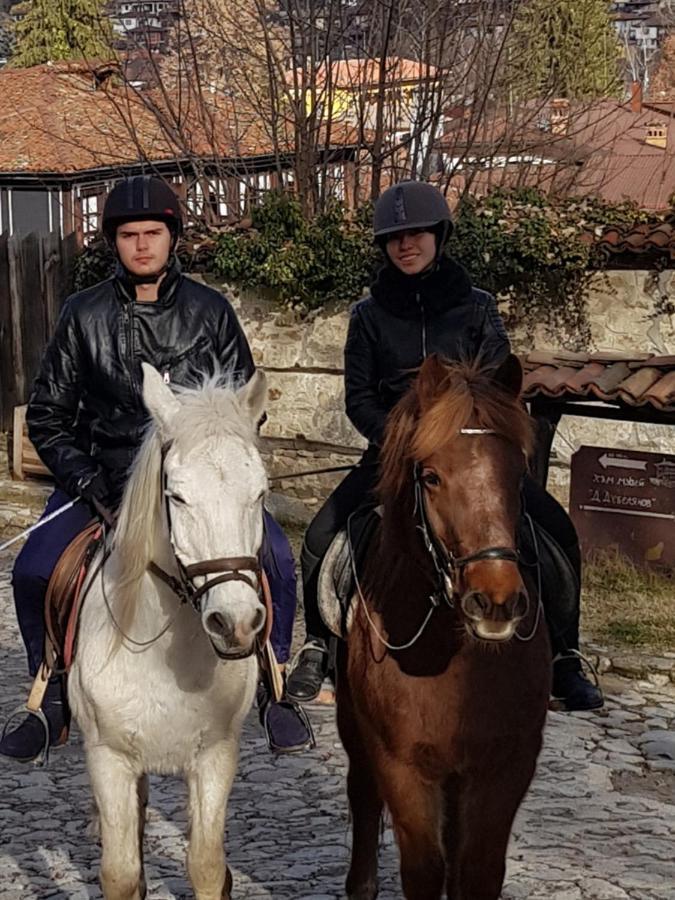 Dona Guest House - Horse Riding Koprivshtitsa Exterior photo