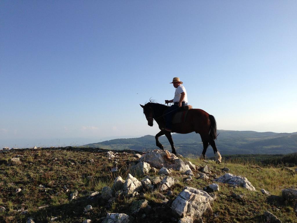 Dona Guest House - Horse Riding Koprivshtitsa Exterior photo