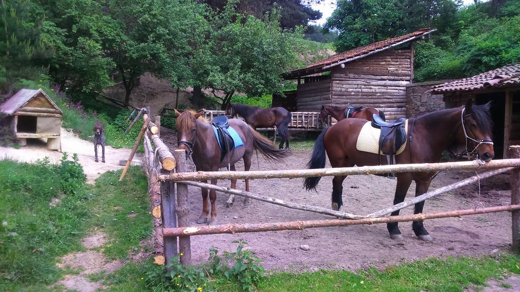 Dona Guest House - Horse Riding Koprivshtitsa Exterior photo