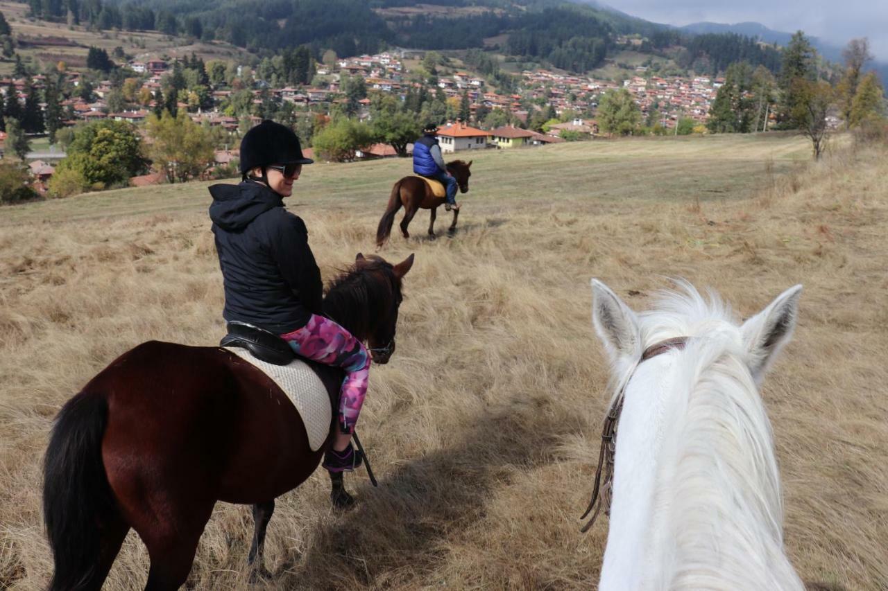 Dona Guest House - Horse Riding Koprivshtitsa Exterior photo